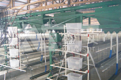 畜牧、养殖业机械-全新鸡场喂料机龙门上料车全自动喂料系统自动化养殖设备鑫实机械-